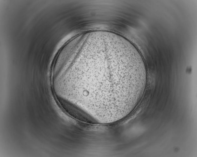 X0000098151090200805011402