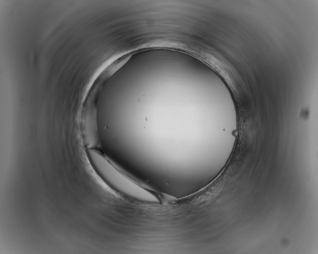 X0000098151092200805011402