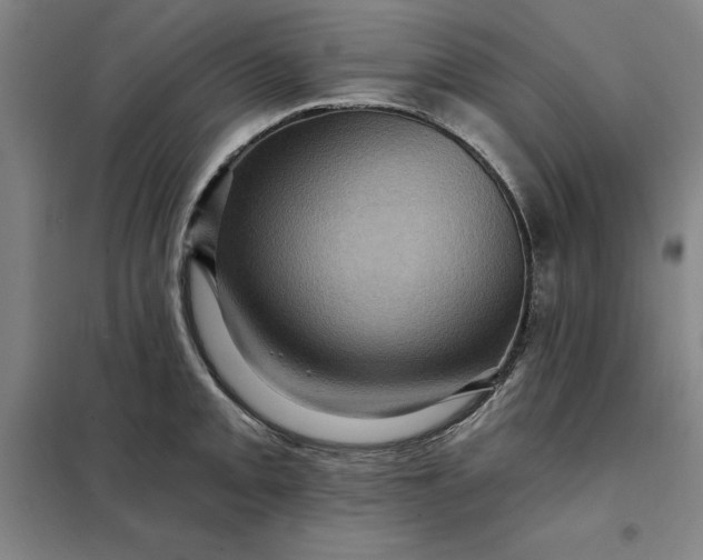 X0000098151093200805011402