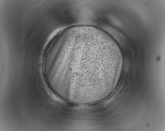 X0000098151094200805011402