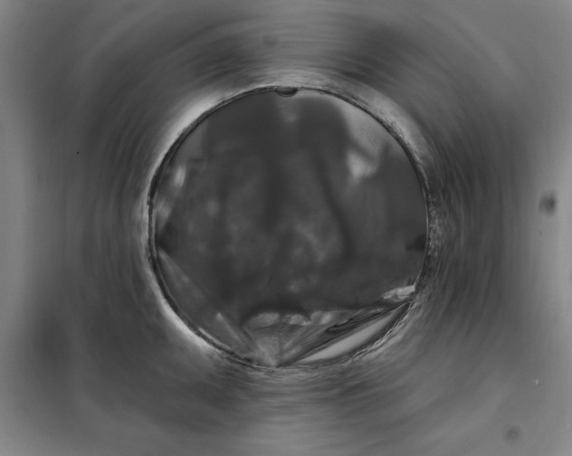 X0000098151095200805011402