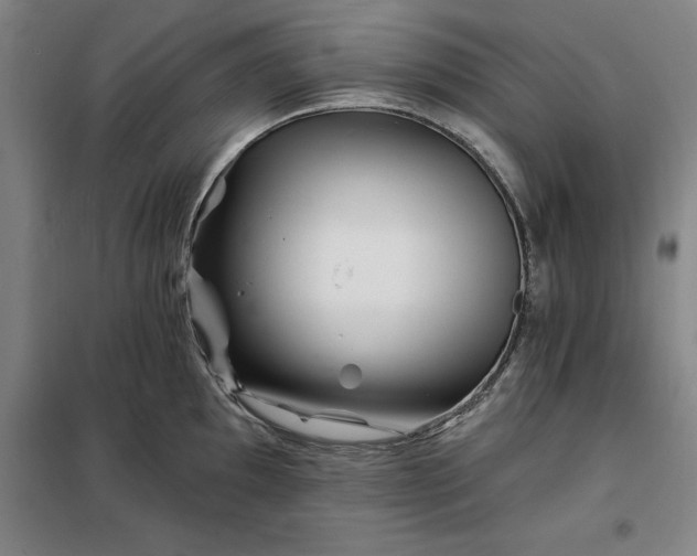 X0000098151097200805011402