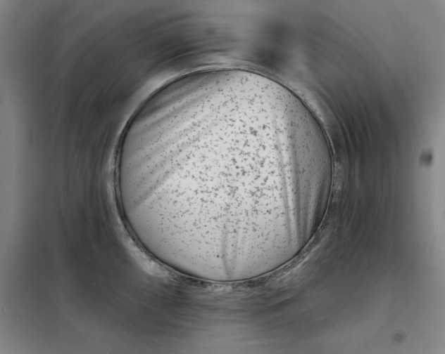 X0000098151098200805011402
