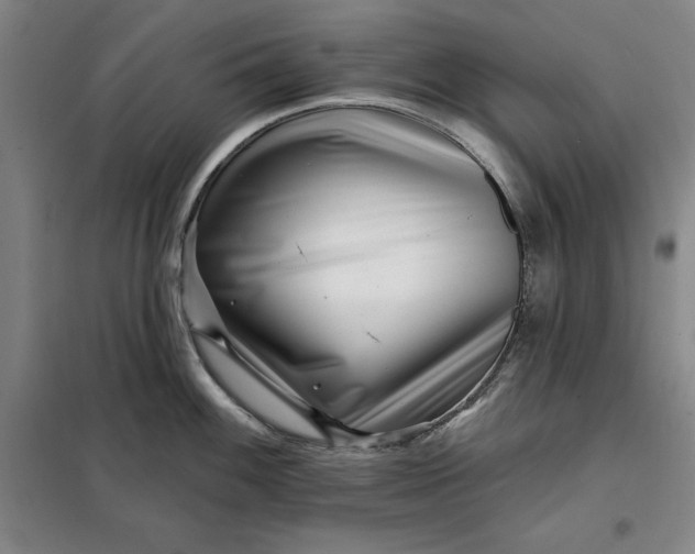 X0000098151100200805011402