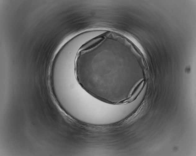 X0000098151101200805011402