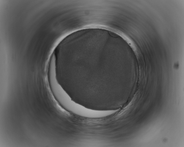 X0000098151102200805011402