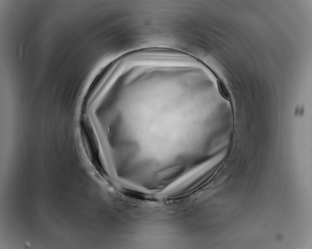 X0000098151104200805011402