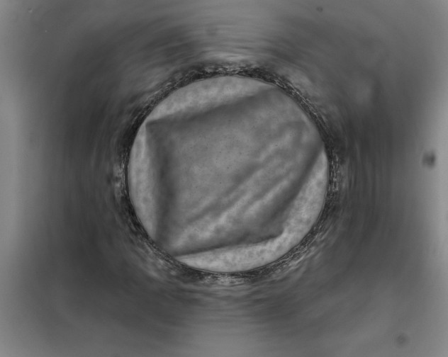 X0000098151109200805011401