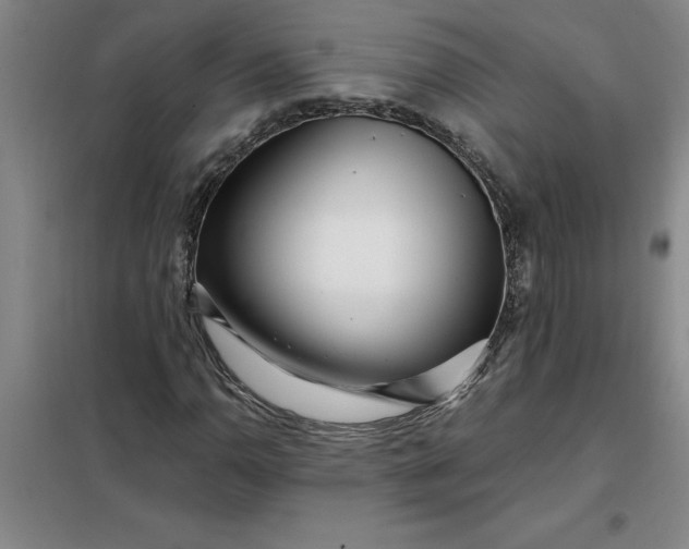X0000098151110200805011401