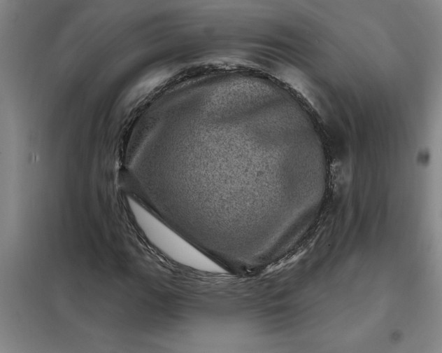 X0000098151111200805011401