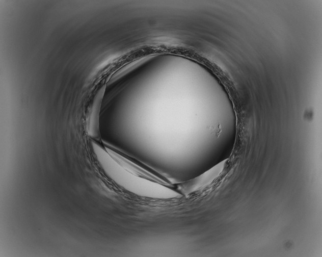 X0000098151112200805011401