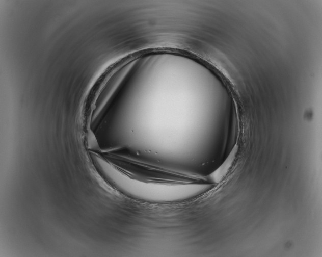 X0000098151116200805011401