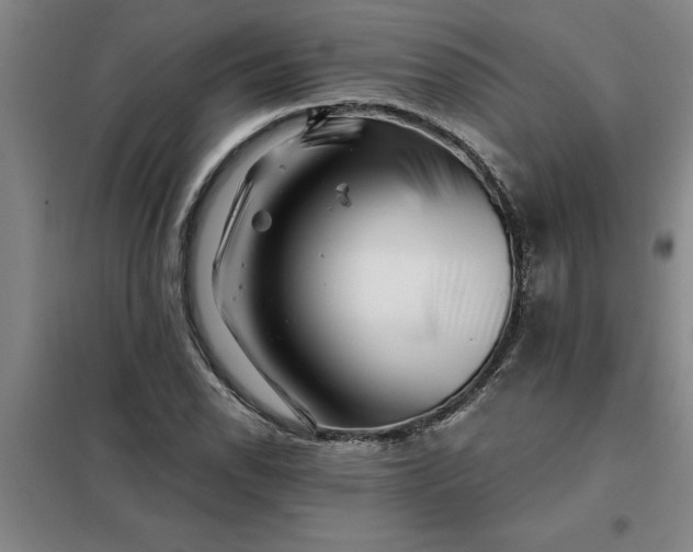 X0000098151118200805011401