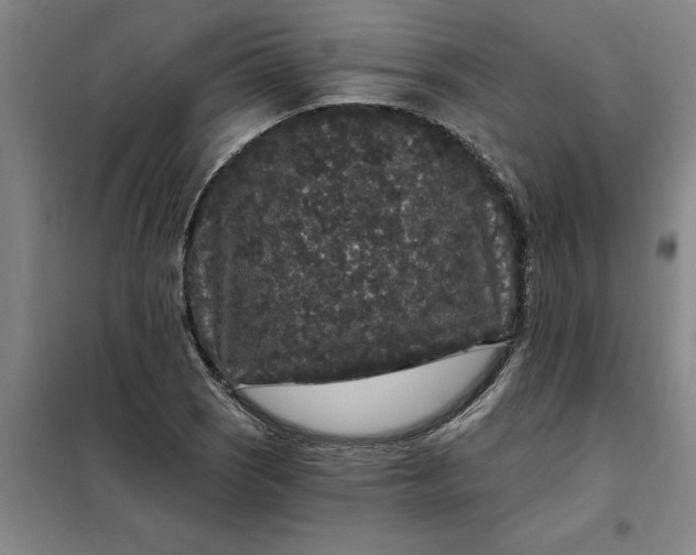 X0000098151121200805011401