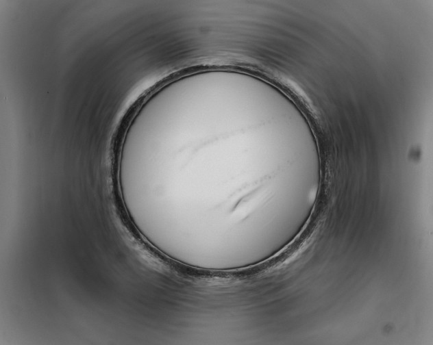 X0000098151122200805011401