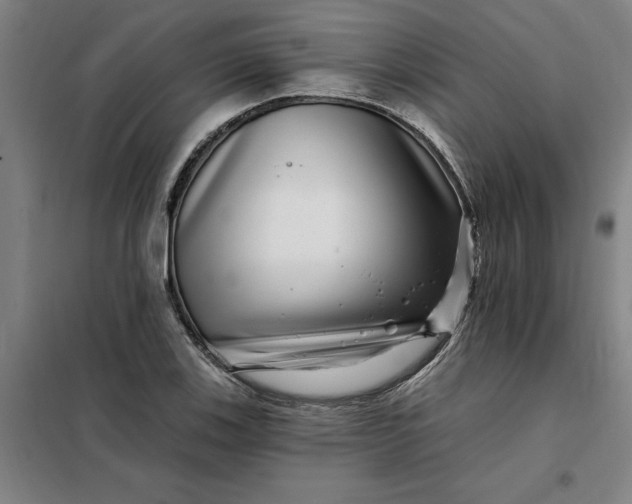 X0000098151123200805011401