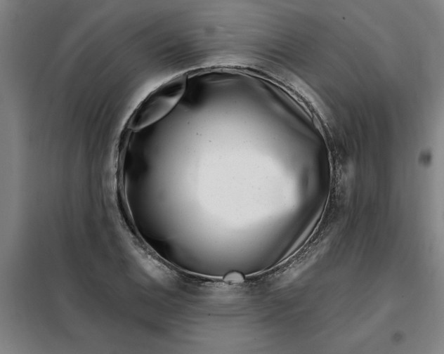 X0000098151124200805011401