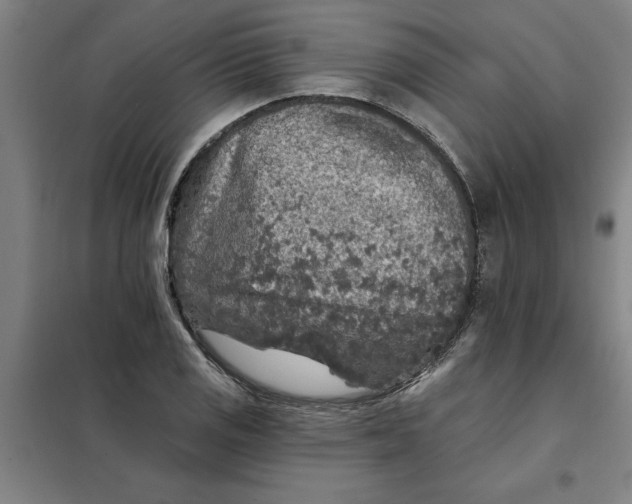 X0000098151125200805011401