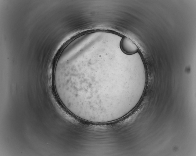 X0000098151126200805011401