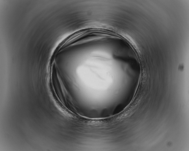 X0000098151128200805011401