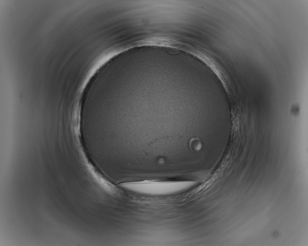 X0000098151131200805011401