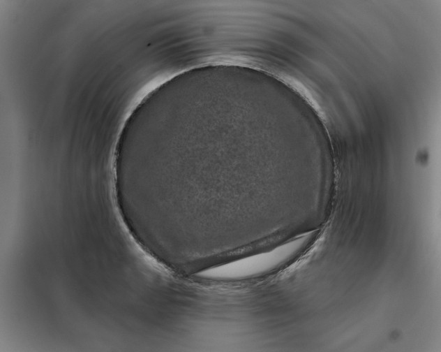 X0000098151133200805011401
