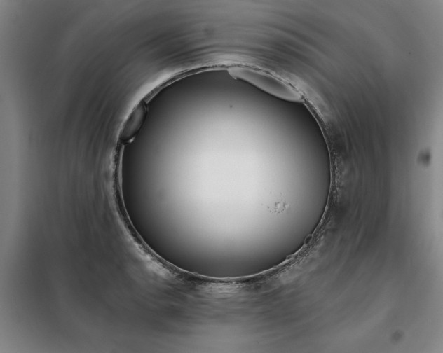 X0000098151134200805011401