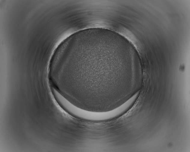 X0000098151135200805011401