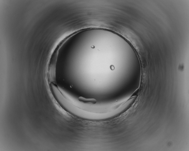 X0000098151136200805011401