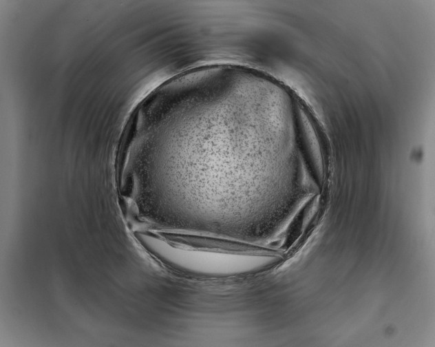 X0000098151137200805011401