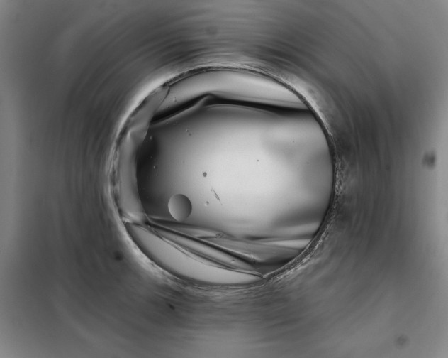 X0000098151139200805011401