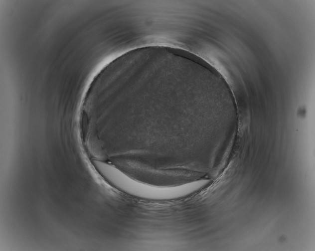 X0000098151144200805011401
