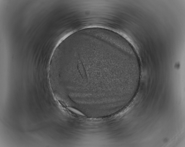 X0000098151145200805011401