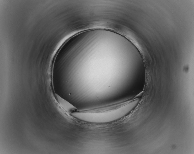 X0000098151148200805011402