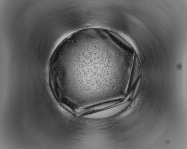 X0000098151149200805011402