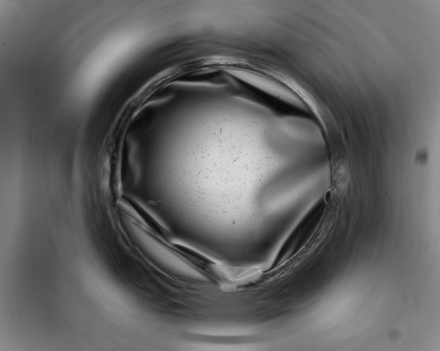 X0000098151151200805011402