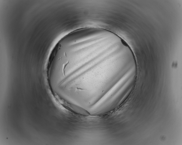 X0000098151152200805011402