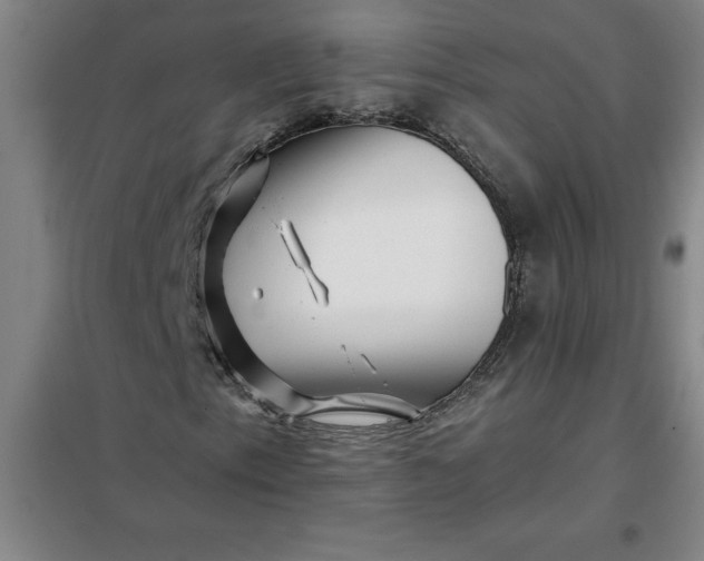 X0000098151153200805011401