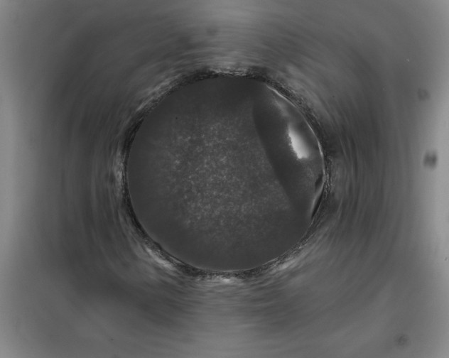 X0000098151154200805011401