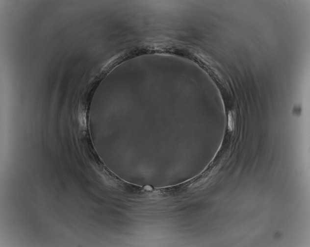 X0000098151155200805011401
