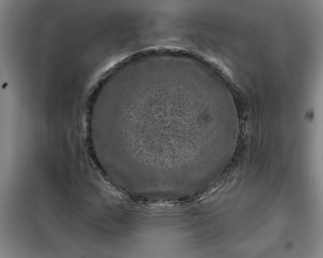 X0000098151159200805011401