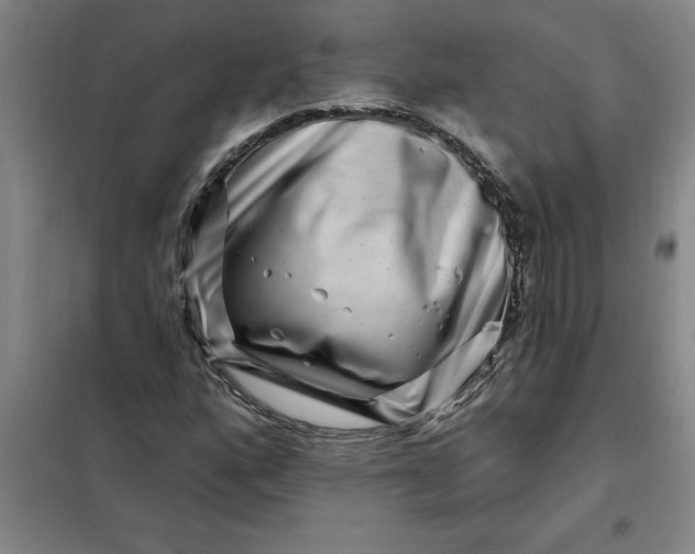X0000098151160200805011401
