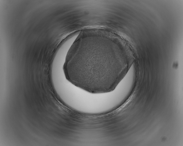 X0000098151161200805011401