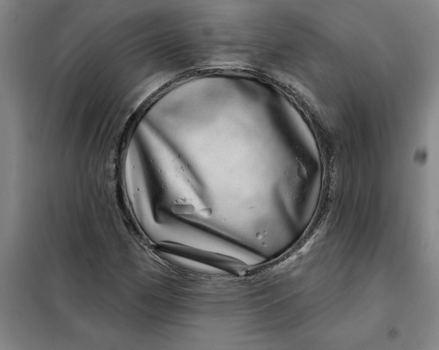 X0000098151162200805011401