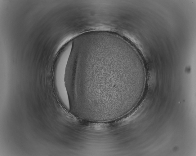 X0000098151163200805011401