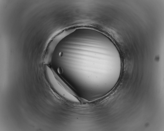 X0000098151164200805011401