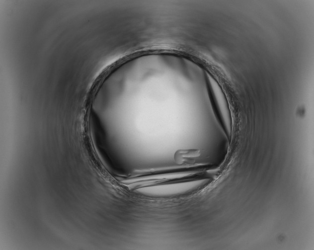 X0000098151166200805011401
