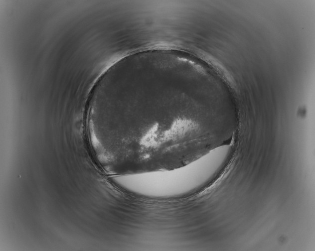 X0000098151170200805011401