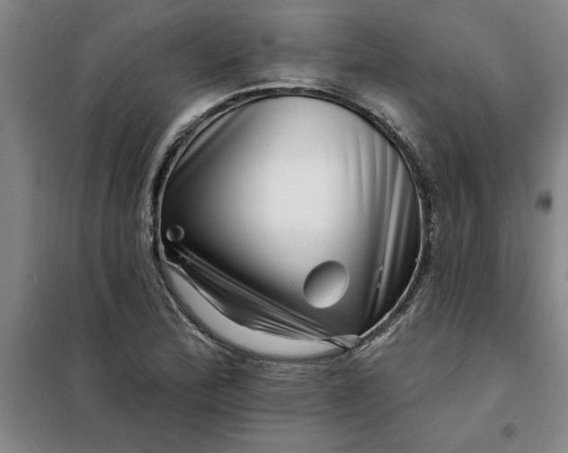 X0000098151172200805011401