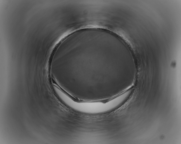 X0000098151173200805011401